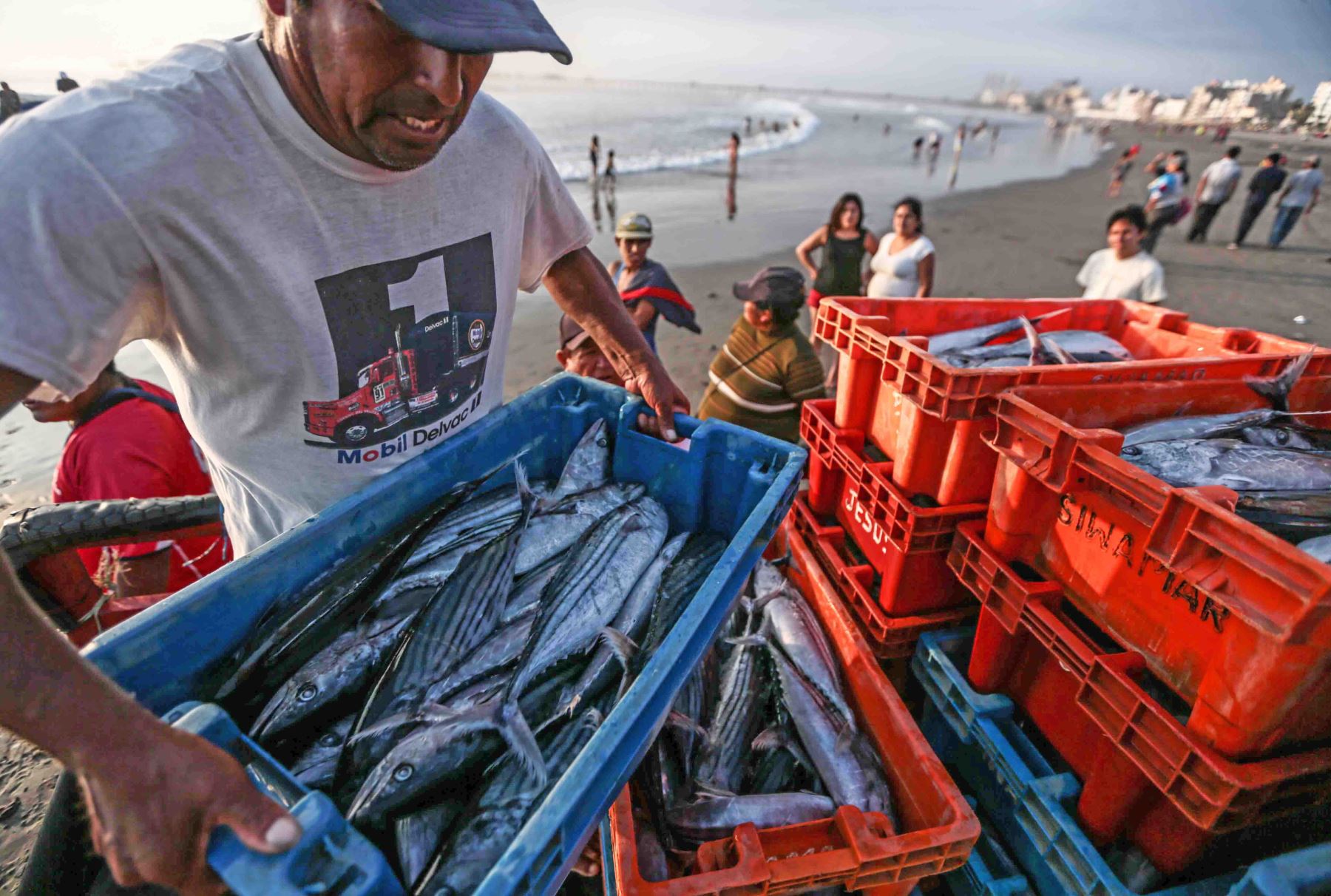 Pesca ilegal de pota y perico se reduciría en 30% al 2021
