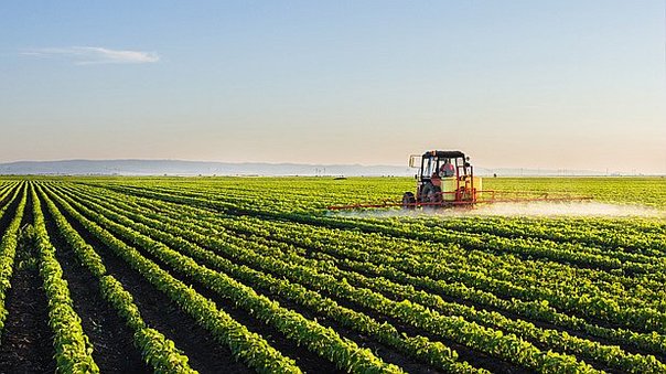 Perú aprovecha menos del 10%  de tierras aptas para la agricultura
