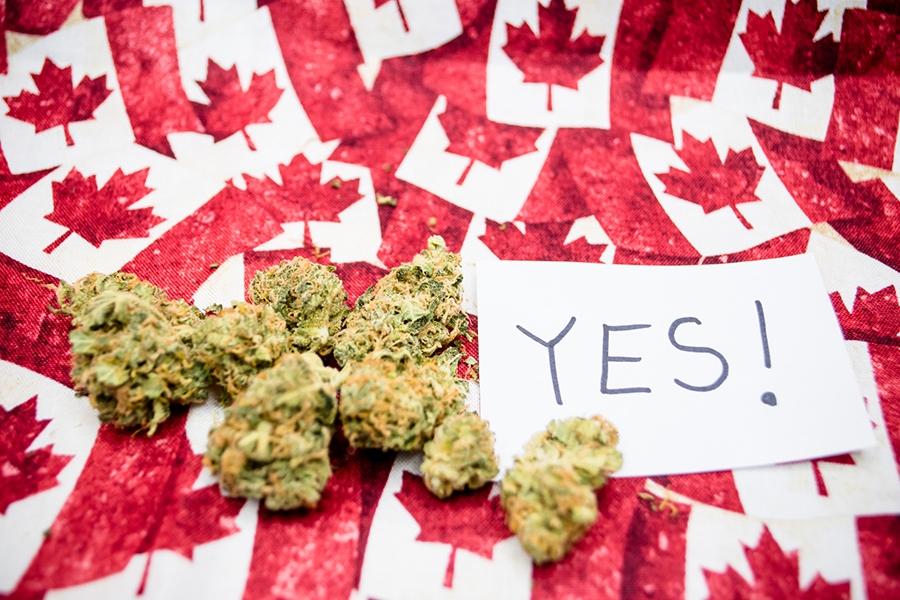 Canadá legalizó el consumo recreativo de marihuana