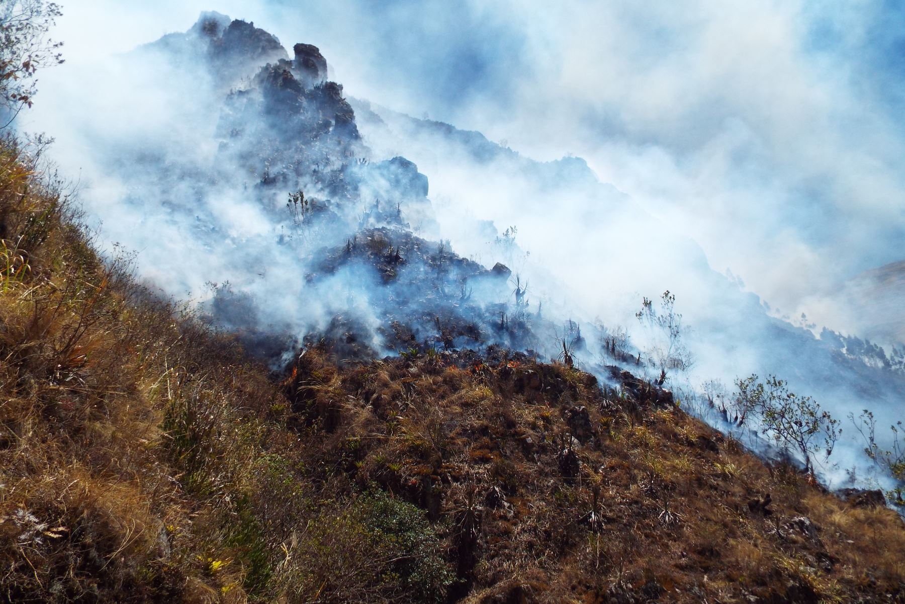 Minagri inicia proceso a presunto responsable de incendio forestal en Cajamarca