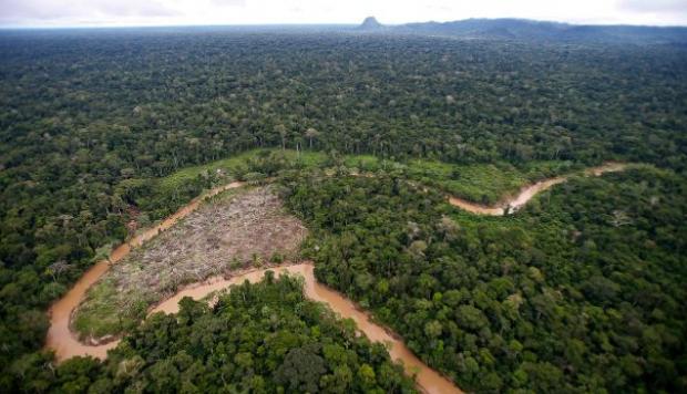 Eliminan exoneración de IGV por importación de bienes a toda la Amazonía