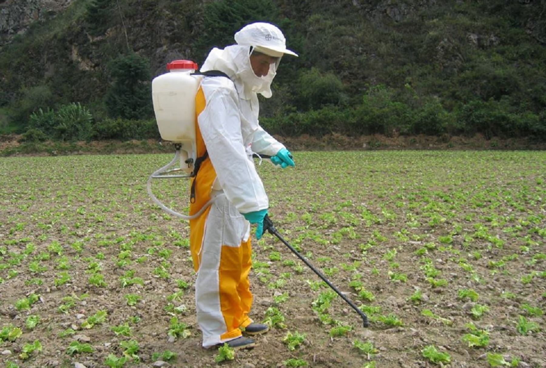 Capacitan a 27,000 agricultores al año sobre uso de productos fitosanitarios