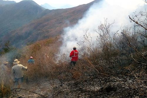 Reportan incendio forestal en Lambayeque, el número 41 en lo que va del año