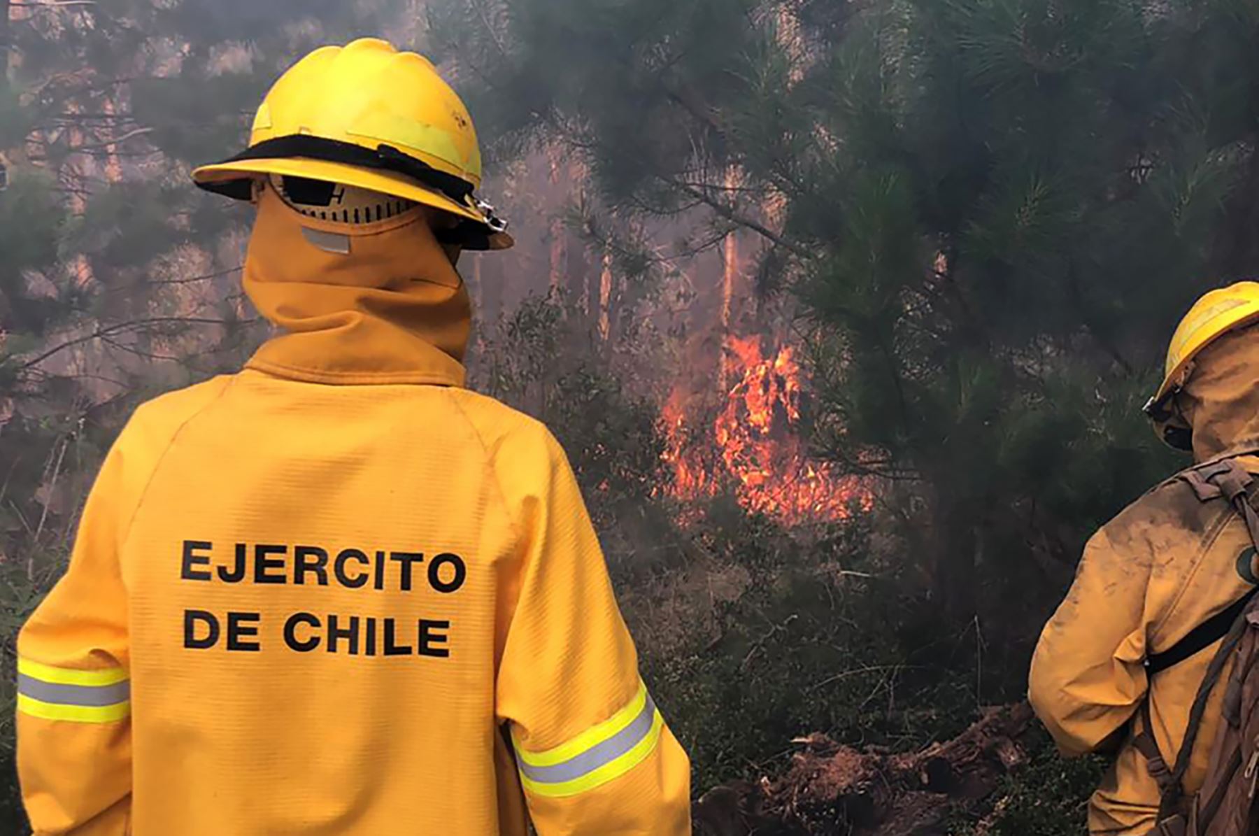 Chile decreta estado de catástrofe en tres regiones por incendios