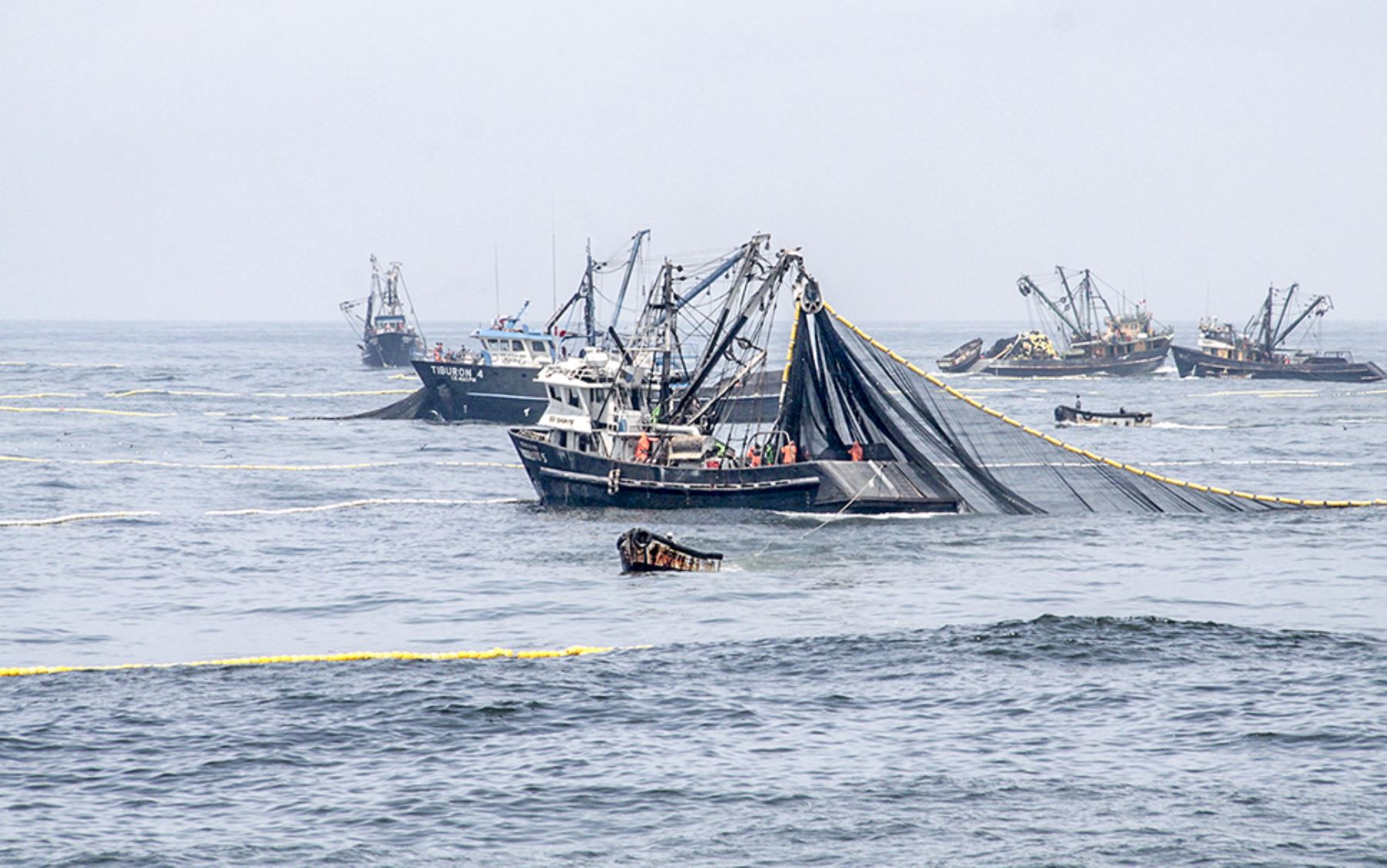 Empresas pesqueras buscan crecer y diversificar su oferta exportable