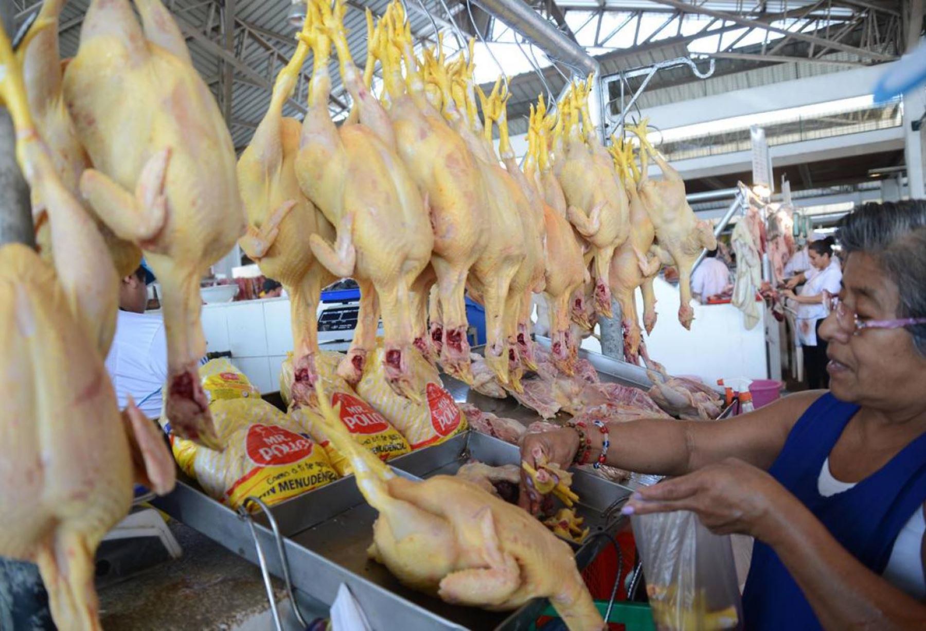 Precio del pollo está en nivel bajo por sobre abastecimiento de avícolas