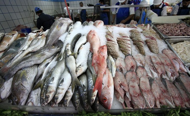 Mayoristas de Lima y Callao reciben 4,000 tns. de pescado
