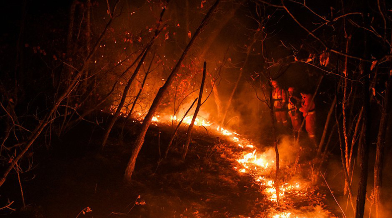China: 26 bomberos fueron encontrados muertos en incendio forestal