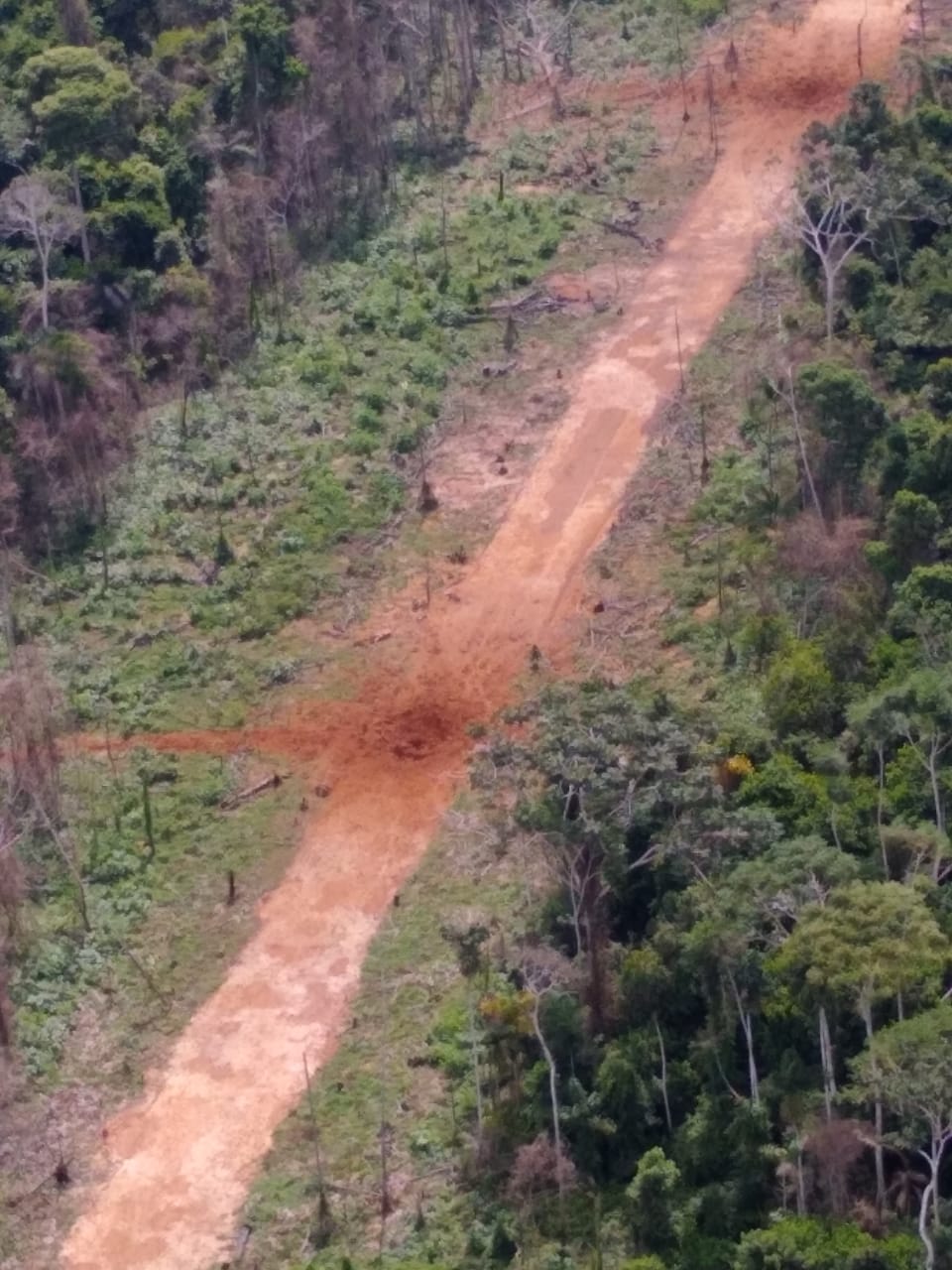 FF.AA. y PNP destruyen 4 pistas de aterrizaje clandestinas en Huánuco