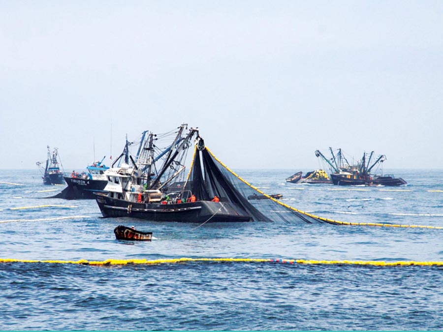 Sectores pesquero y minero cayeron en abril según Reuters