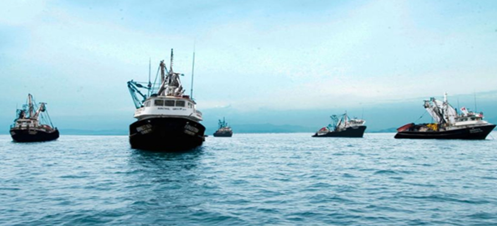 SNI: La pesca para consumo humano al borde del naufragio