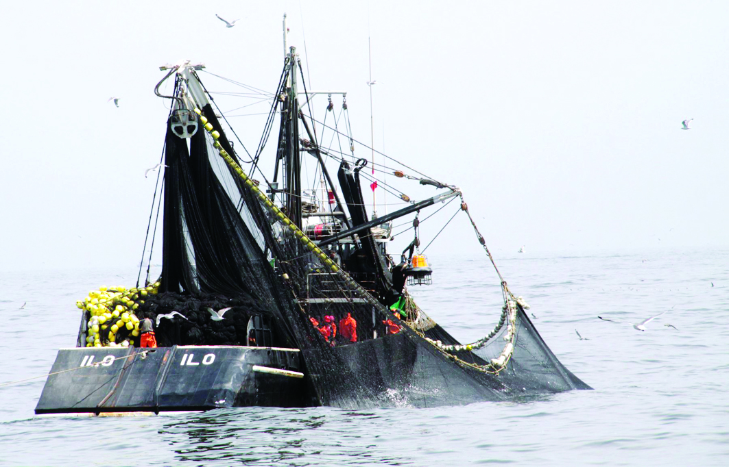 Recaudación por derechos de pesca se incrementará en 44% este año