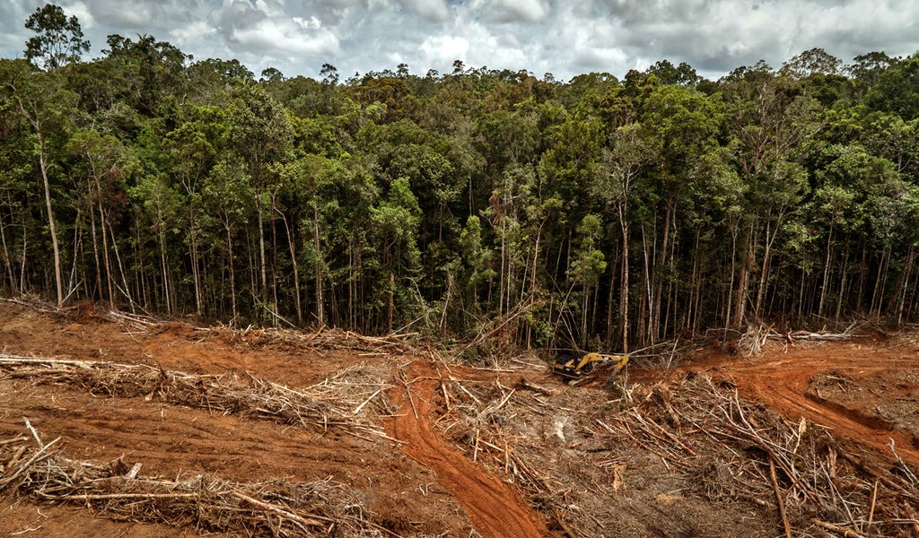 Agencia espacial del Perú hace frente a la deforestación en la Amazonía