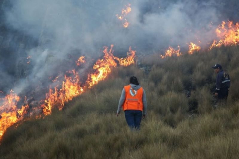 Reporte de Indeci sobre incendios forestales especialmente en Madre de Dios, Loreto y Ucayali será presentado hoy.