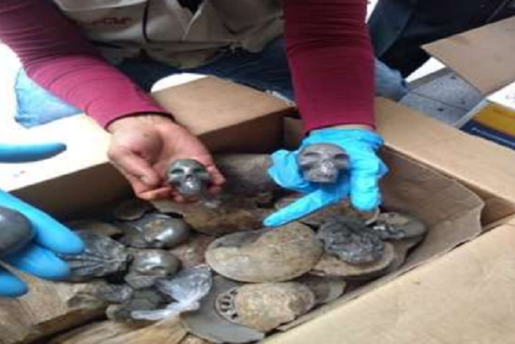 Policía incauta 646 fósiles paleontológicos en feria artesanal