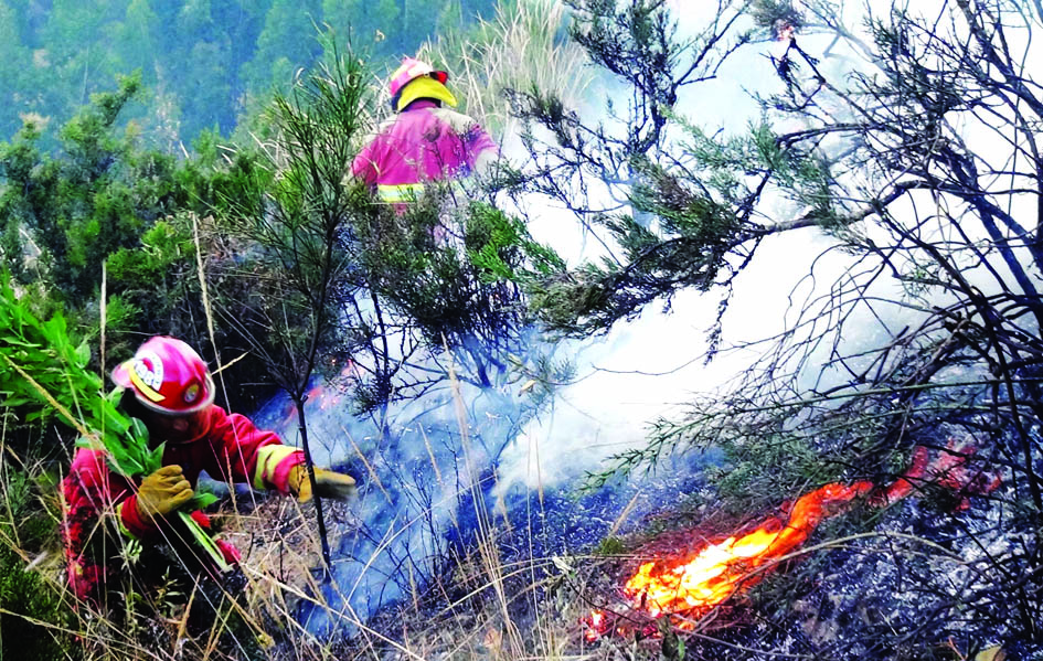 Incendios forestales arrasan en Junín, Huánuco y Cajamarca