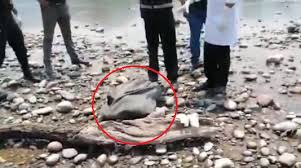 Hallan cadáver de un niño en Río Perené