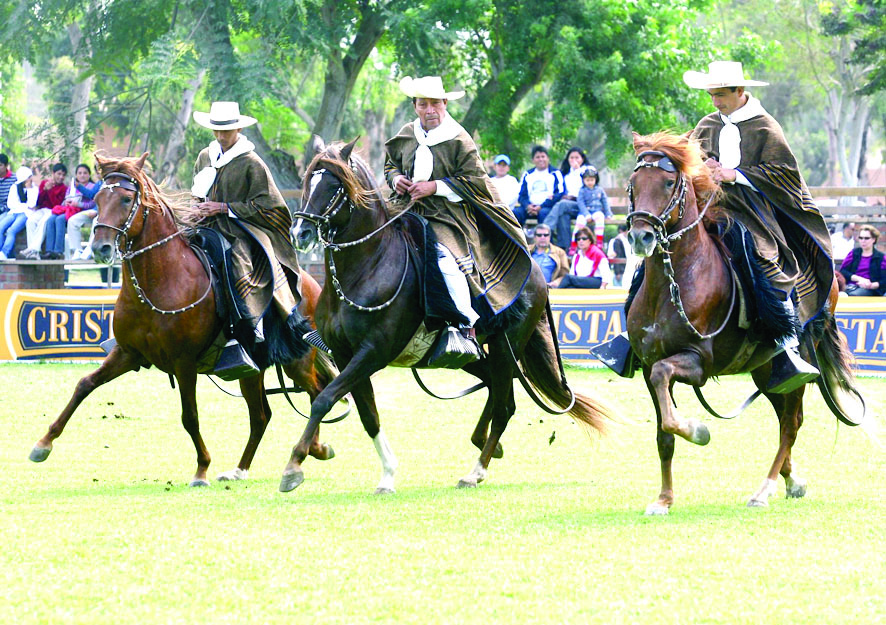 Arequipa albergará certamen del caballo peruano de paso