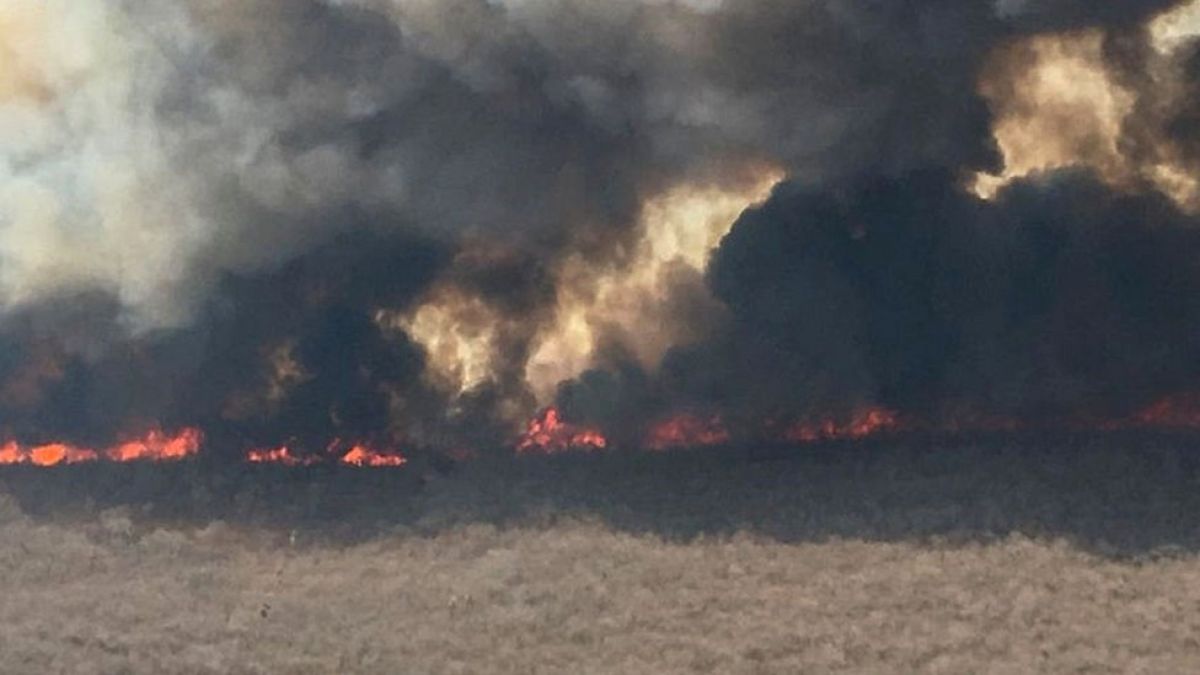 Incendios en el Pantanal destruyen  área del tamaño de Río de Janeiro