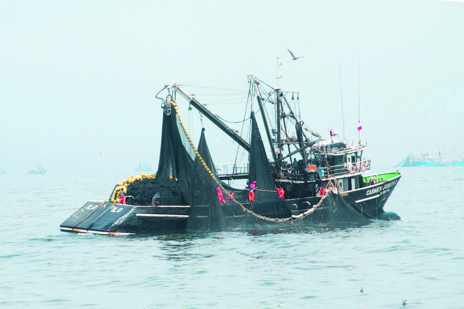 Nuevo derecho de pesca  a partir de hoy en litoral