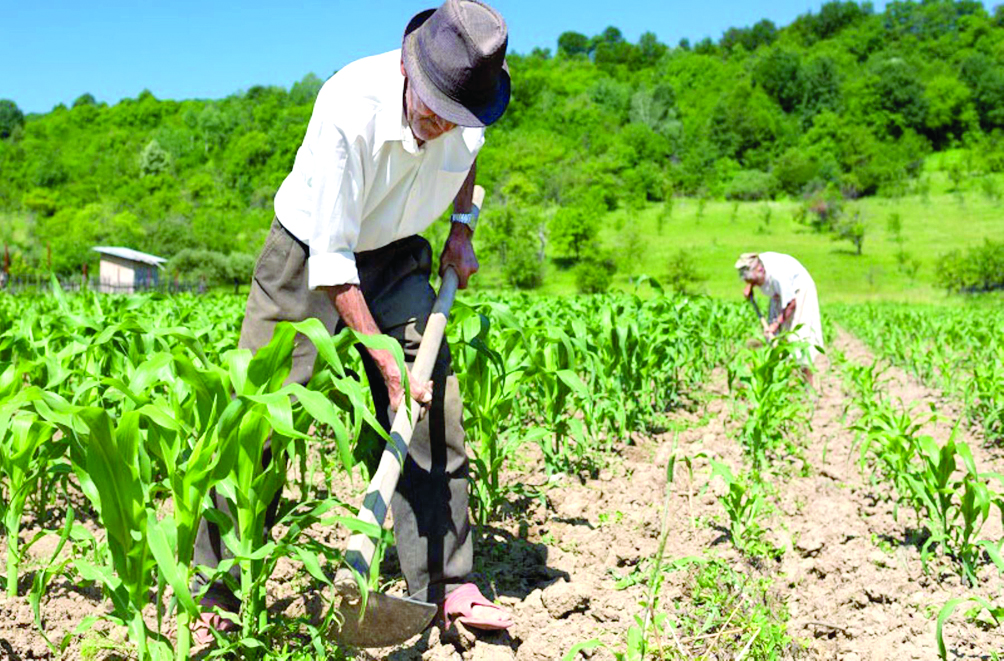 Más de 400 mil agricultores  beneficiados con nueva ley