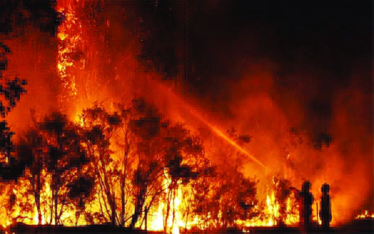 Australia en llamas, catástrofe para la salud y biodiversidad