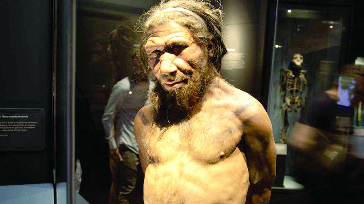 Investigación revela que los Neandertales sabían bucear
