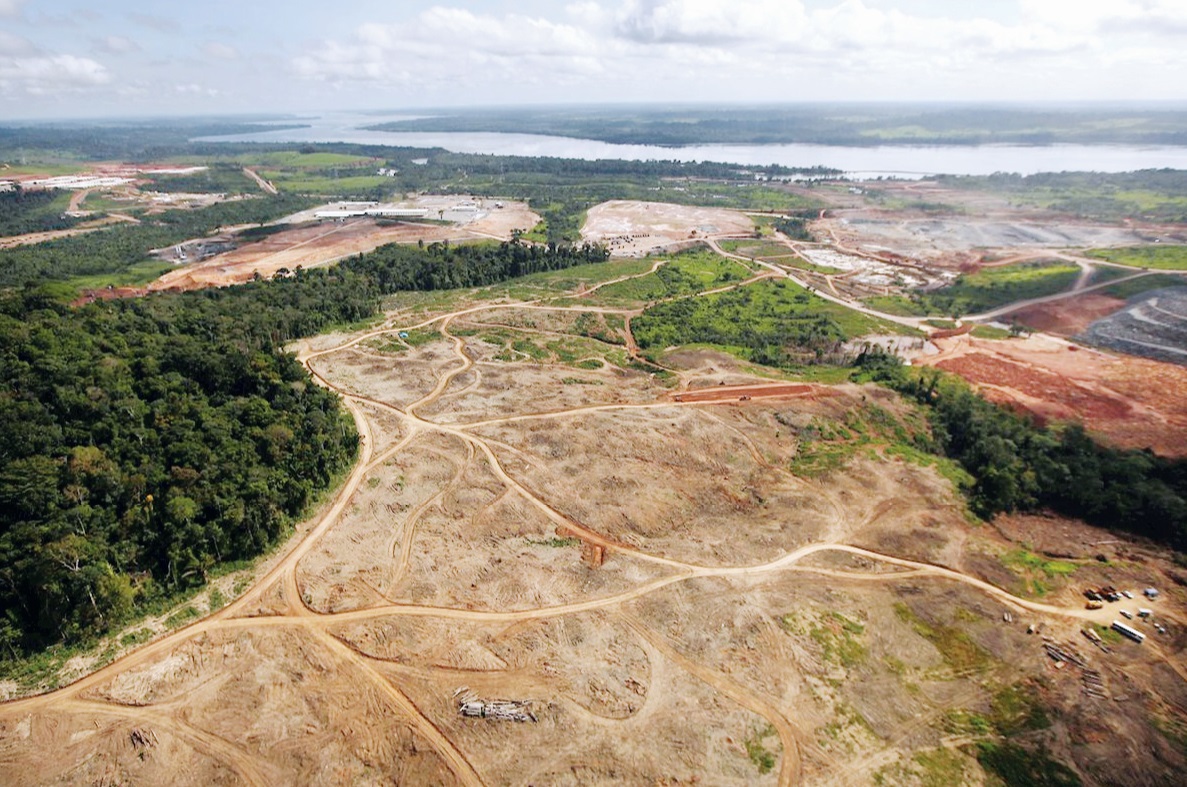 La deforestación está matando la amazonia