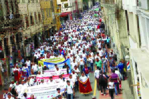 Galleros del Perú anuncian marcha en Plaza San Martín