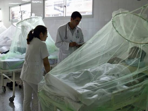 Más de 3 mil casos por dengue en Perú y población se alarma más por Covid-19