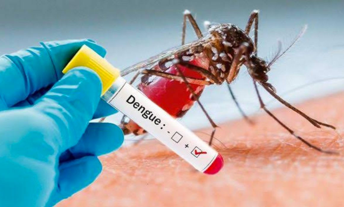 Nuevo tipo de dengue causa alerta en el Perú
