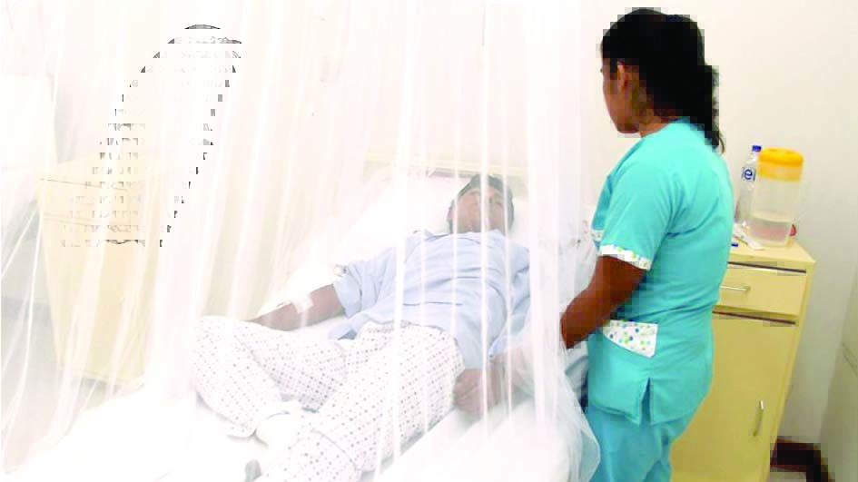 Minsa confirma presencia del Dengue en Lima Norte