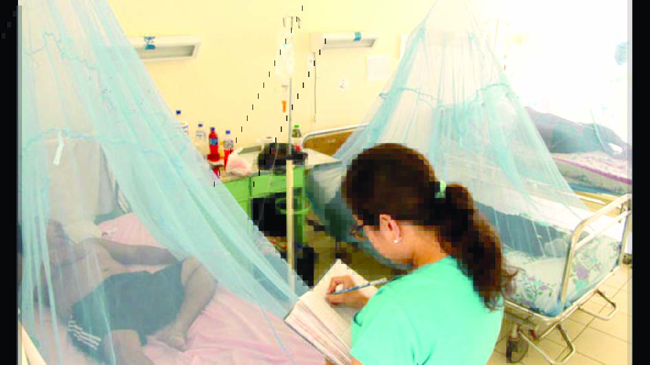 Aumentan a 11 los casos de dengue en Lima norte