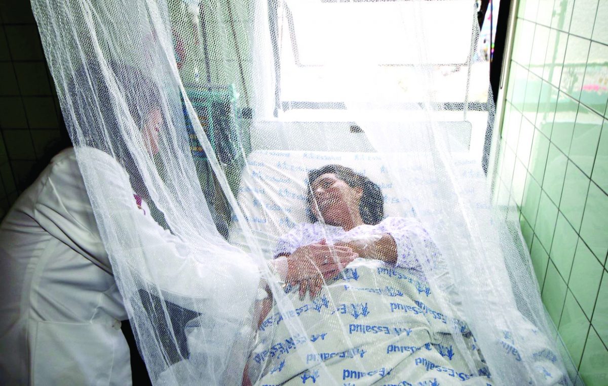 El dengue deja 25 muertos a lo largo del país, durante el 2020