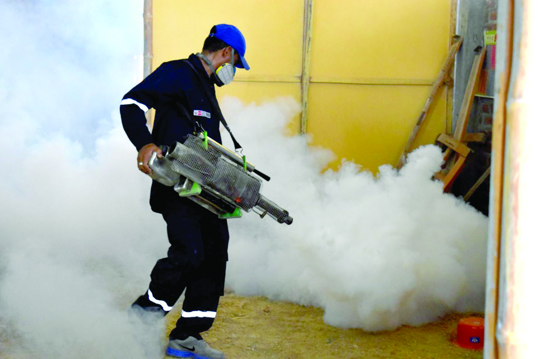 Fumigarán seis mil casas en Lima norte por dengue