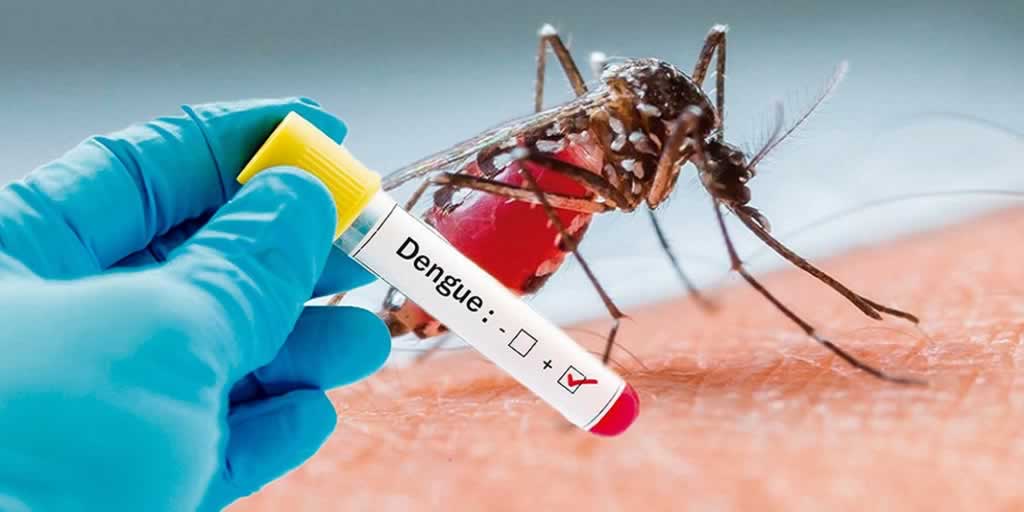 El dengue es más peligroso que el coronavirus
