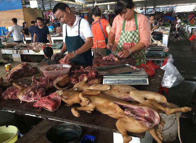 Mercados de China vuelven a vender carne de perros, gatos y murciélagos