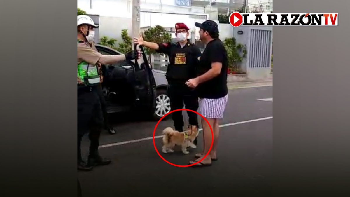 Intervienen a sujeto por pasear a su perro e incumplir cuarentena l VIDEO