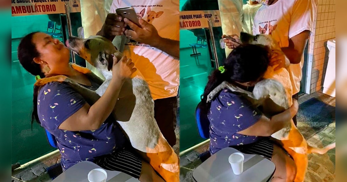 Perro abraza a mujer en Brasil