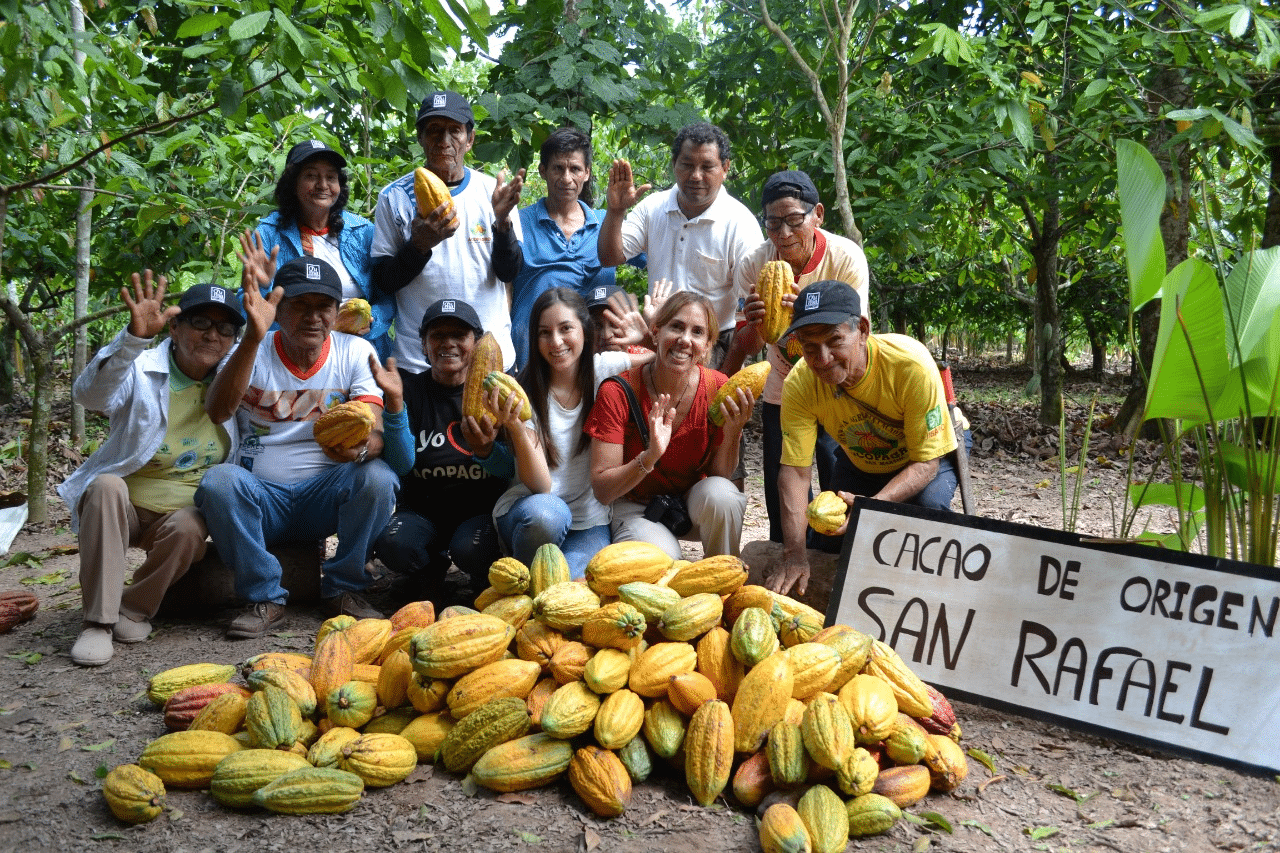 100 mil familias cacaoteras celebran día del cacao