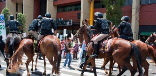 caballos