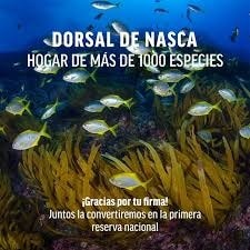 Carnecitas (02/10/2020) Reserva Nacional Dorsal de Nasca