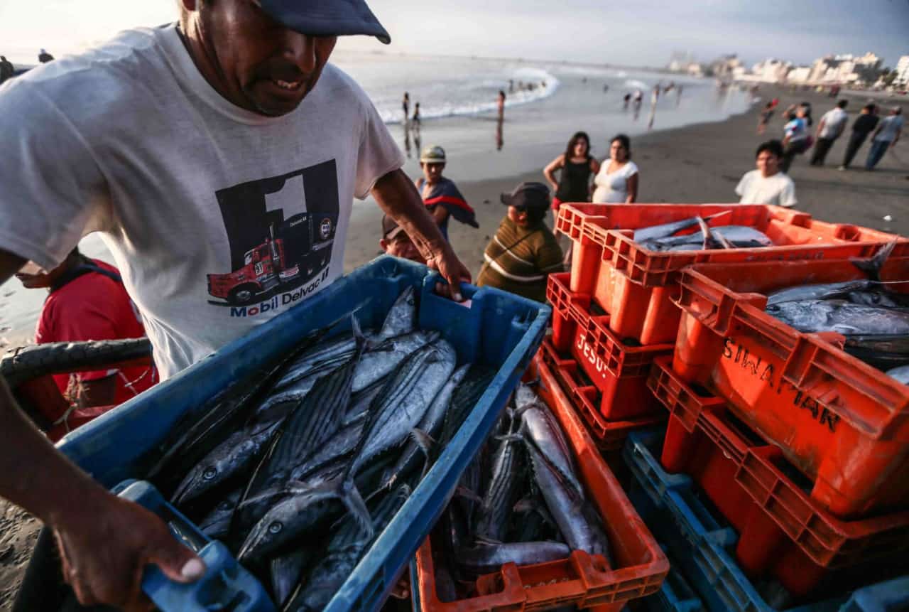 Pide promulgar ley que mejora pensión a pescadores jubilados