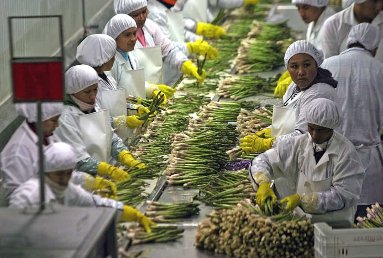 Perú exportaría alimentos por más de US$ 10,000 mlls. en 2021