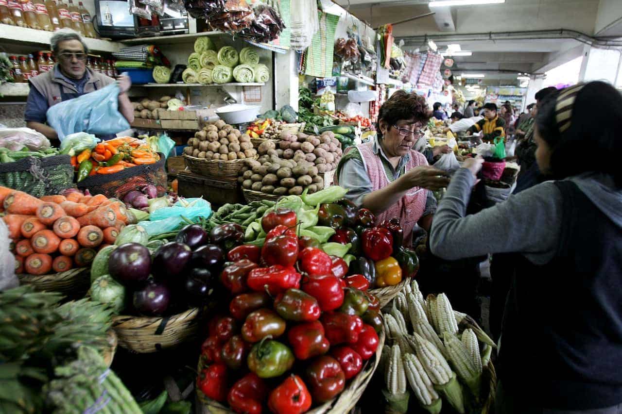 Precios de alimentos subirían un 35% más por alza de precios de fertilizantes