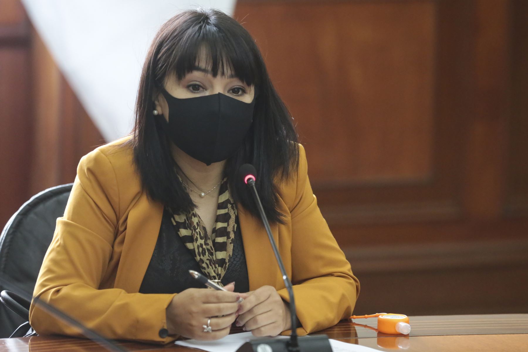 Mirtha Vásquez preocupada por propuesta de vacancia presidencial