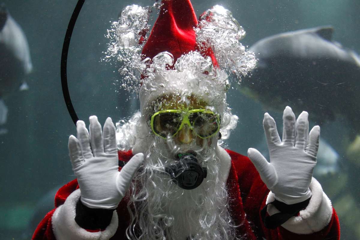 México: Papá Noel acuático ofrece regalos en zoológico