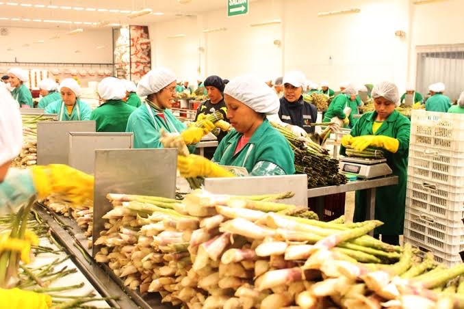 Perú sube al puesto 21 en ranking de proveedores de alimentos del mundo