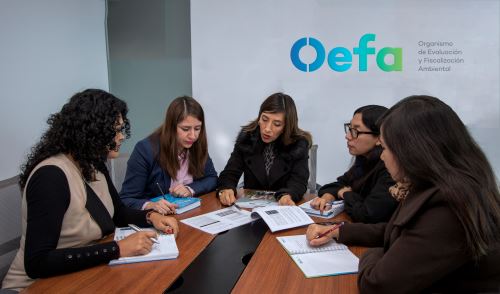 La presidenta de la OEFA, Miriam Alegría, indicó que han pedido un informe a Repsol de las medidas ejecutadas para mitigar el desastre.