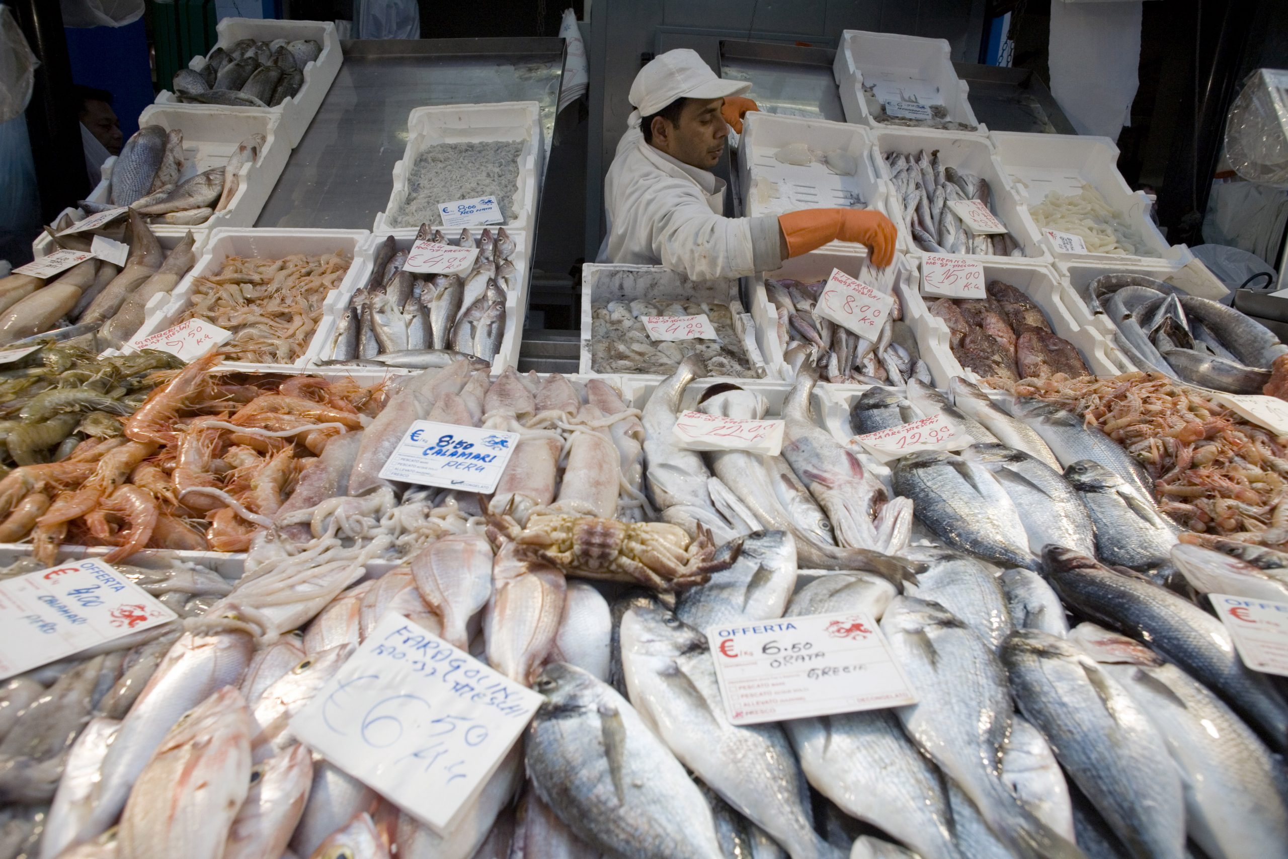 Precios del pescado cayeron hasta el 20% en Lima y Callao